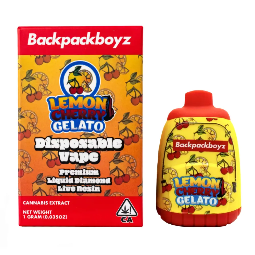 Backpack 2gr